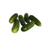 PEPINO CAIPIRA