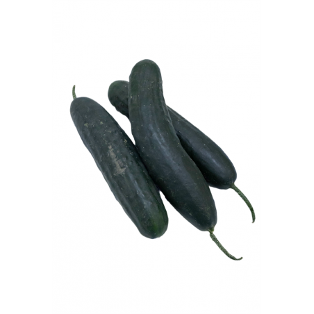 PEPINO VERDE KG