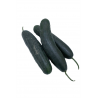 PEPINO VERDE KG