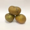 MACA REINETA