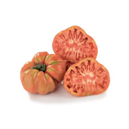 TOMATE  CORAÇÃO DE BOI KG