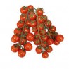 TOMATE CHERRY - 250 GRAMAS