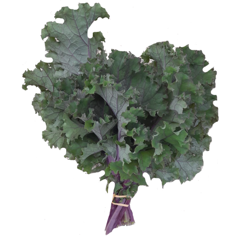 COUVE KALE - MOLHO
