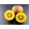 KIWI AMARELO