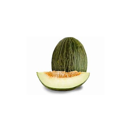 MELÃO VERDE