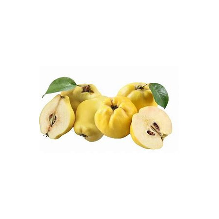 MARMELO