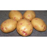 BATATA PICASSO (OLHO DE PERDIZ) - SACO 20 KGS