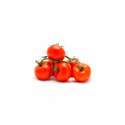 TOMATE COM RAMA (CACHO)