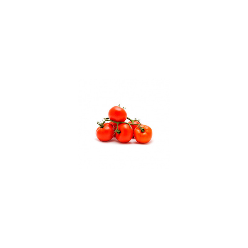 TOMATE COM RAMA (CACHO)