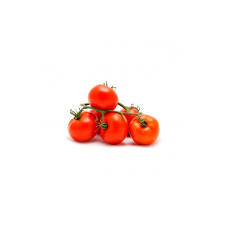 TOMATE COM RAMA (CACHO)
