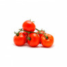 TOMATE COM RAMA (CACHO)