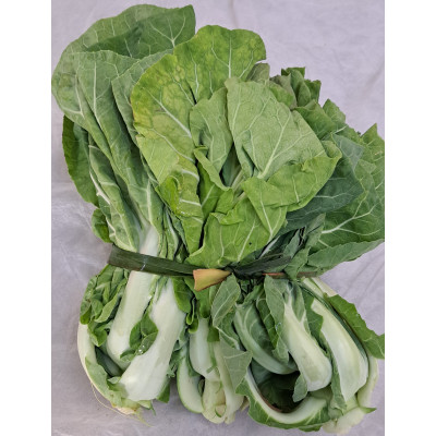 ESPIGOS COUVE PORTUGUESA