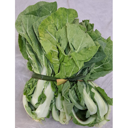 ESPIGOS COUVE PORTUGUESA