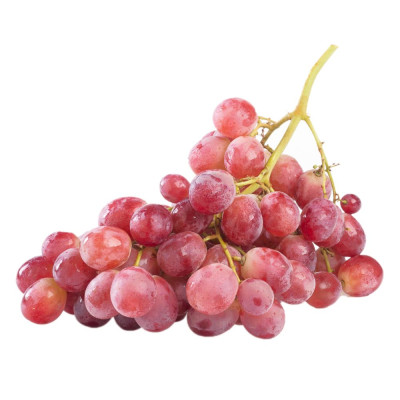 UVAS RED GLOBE