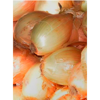 CEBOLA  GARRAFAL KG