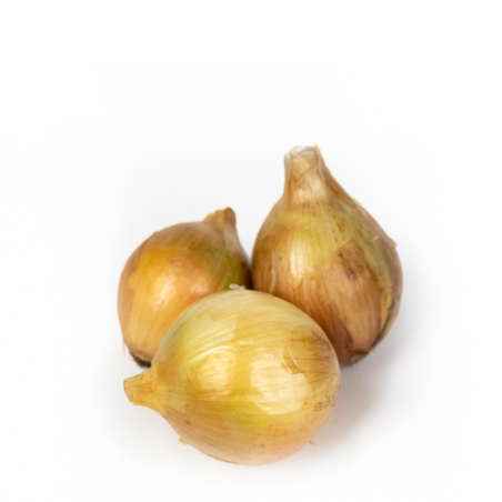 CEBOLA KG