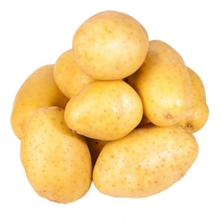 BATATA LAVADA